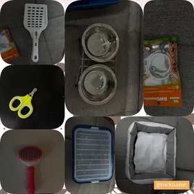 набор для кота