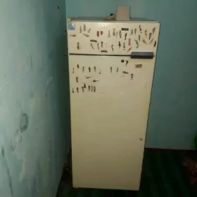 kansaner.holodilnik.sfaner