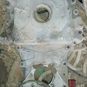 teplemenik kožik krişka