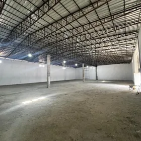 ARENDA AMMAR ÖÑALDY