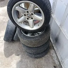 BMW şnaýzer disga R 17