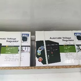 Tok köpeltýän Kebo