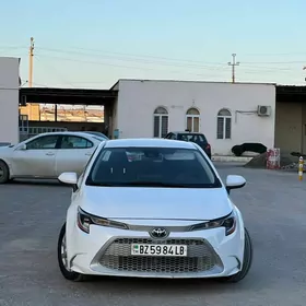 Toyota Corolla 2021