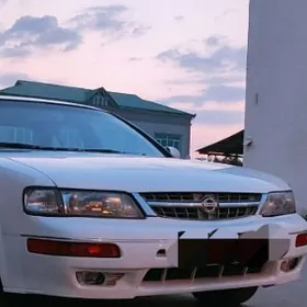 максима облисовка