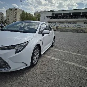 Toyota Corolla 2023