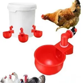 Õÿ guşlary üçin suw üçin