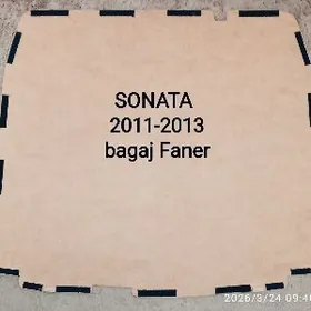 Hyundai Sonata Faner