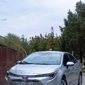 Toyota Corolla 2021