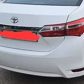 Carolla yzky cyralar