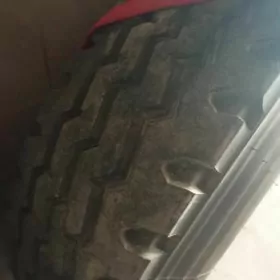 maz balon 12 lik taze taze