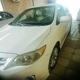 Toyota Corolla 2010