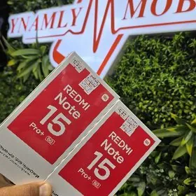 15 pro plus 12/512 paket