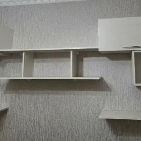 Polkalar stenka asylyan