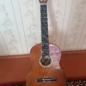 Gitara Classic