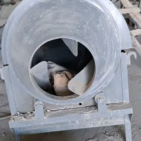 cage guratyan susilka