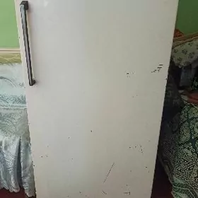 Holodilnik rossiyskiy