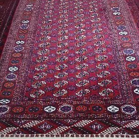 El haly ini1.72sm,boyy,2.47sm