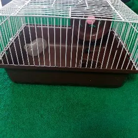 клетка для хомяка