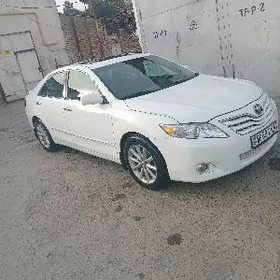 Toyota Camry 2010
