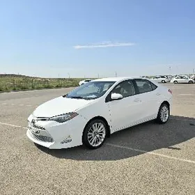 Toyota Corolla 2019
