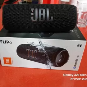 JBL flip 6