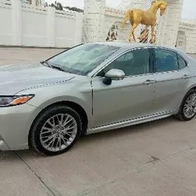 Toyota Camry 2019