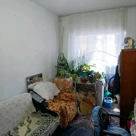 Доссаф 5 ком