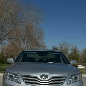 original okuzkelle bolowoy