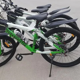 Tigir Türkmenistan.