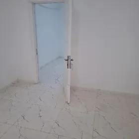 Hususy satlyk Pamishenya