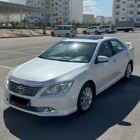 Toyota Aurion 2013