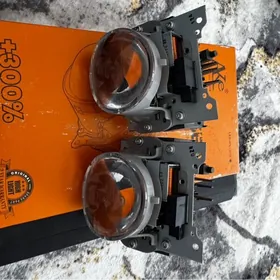 Highlander 21y lupasy morda