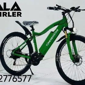 TURKMENISTAN TOKLY TIGIR TIGIR