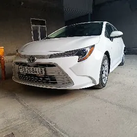 Toyota Corolla 2023