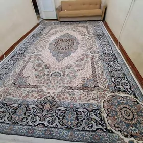 Haly 4.5X3.9 100% pagta