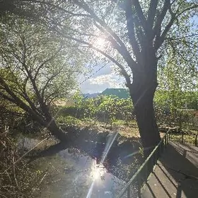 Bagyr Mirewe Gokje Bekrewe