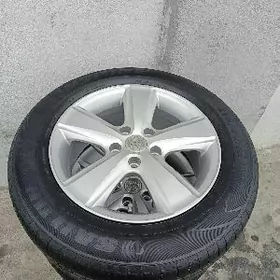 16 kemeri disga pakrysga