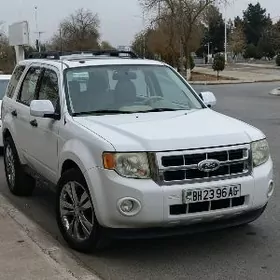 Ford Escape 2010