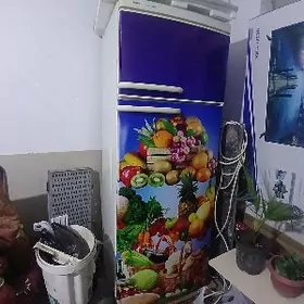 sowadyjy/ holodilnik