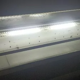 haladilnik(holodilnik)