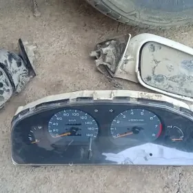 sunny pribor, bakawoylary