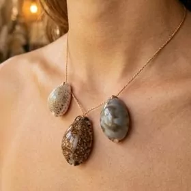 НАТУРАЛЬНЫЕ РАКУШКИ 