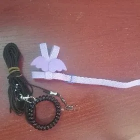 valnisty,korella popugaylar un