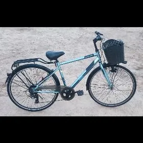 { Ýaponiski * Welsepit }.