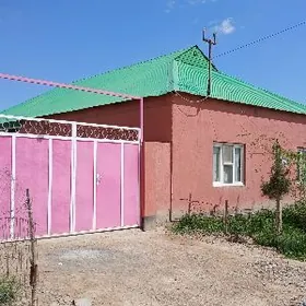 eyesinden satlyk jay