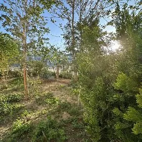 11MKR 2 KOMNAT 1ETAJ