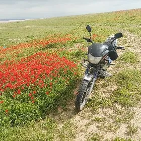 Fekon FK200-14G 2023