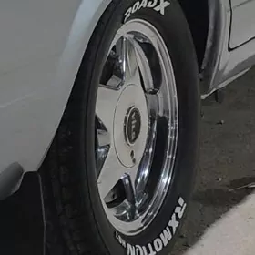 vils diska pakryşka