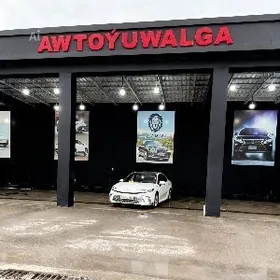 Lion Moyka moyşik gerek