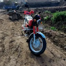 Fekon FK200-14G 2026